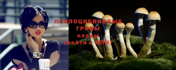 дурь Карталы