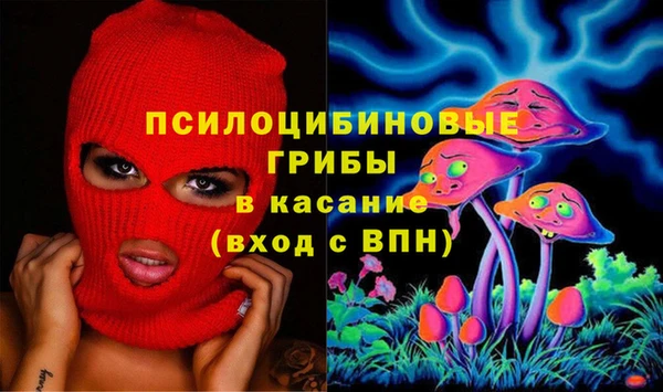 амф Карпинск