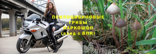 амф Карпинск